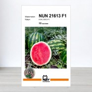 Насіння кавуна НУН 21613 F1, АПГ Nunhems, Нідерланди, 10 насінин